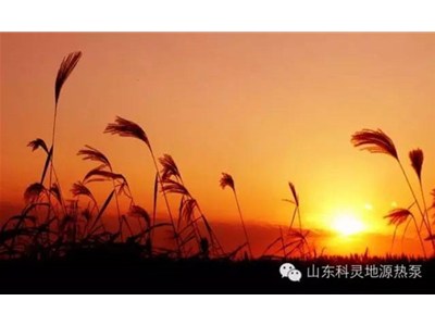 大愛初秋，醉美科靈
